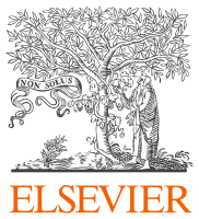 elsevier2