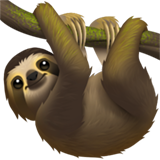 sloth 1f9a5